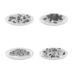 Vector design of pasta and carbohydrate sign. Collection of pasta and macaroni stock vector illustration.