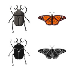 Isolated object of insect and fly logo. Set of insect and element vector icon for stock.