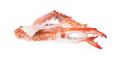 Closeup of claw crab isolated on white background