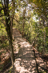 Path in an Asian park in China / Asia - National park - Stairs in a Park