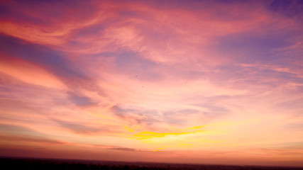 Obraz premium Celery in the sky