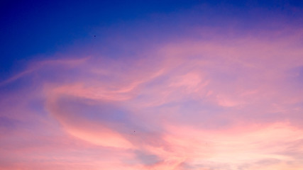 Fototapeta na wymiar Celery in the sky