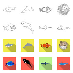 Vector design of sea and animal symbol. Collection of sea and marine stock symbol for web.