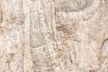 Old von boulder. Natural stone background. Light background For design, decoration and templates. Copy space.