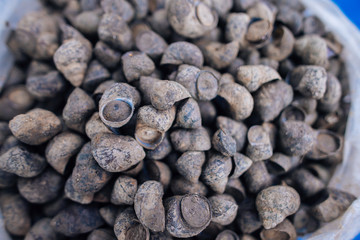 Vientiane City Market