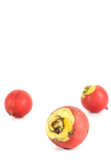 Areca nut Close up
