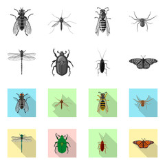 Isolated object of insect and fly sign. Set of insect and element stock vector illustration.