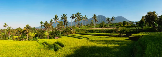 Fotobehang Panoramisch uitzicht op rijstterrassen en blauwe lucht, Ubud, Bali, Indonesië. Mooie groene jonge rijstvelden, natuurlijke mooie tropische achtergrond. Rijstboerderij, veld, padie. Reisconcept. © olgaarkhipenko