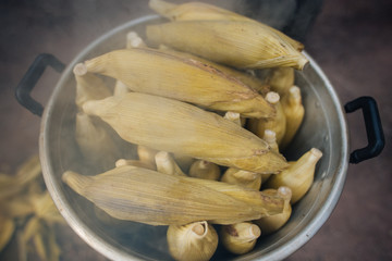Fresh steamed corn