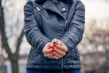 Woman holding flower daisy in the spring.