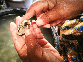 Hand holding knife to peel it off shell