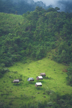 Green Life