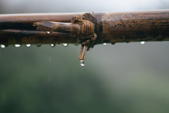 Cold Raining