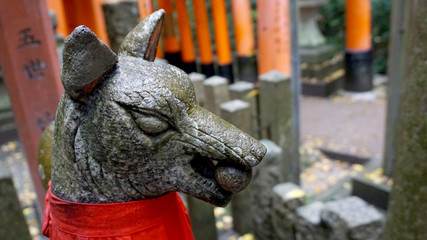 神社の狛犬