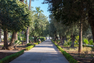 Parc El Harti in Marrakesch in Marokko