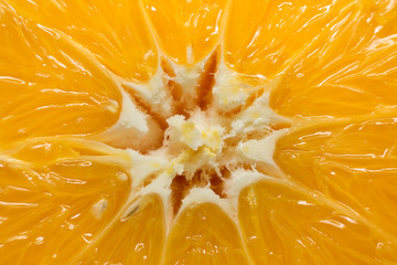 Kerngehäuse einer Orange in Nahaufnahme. Makro mit Focus Stacking
