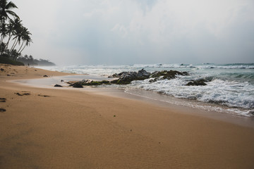 Landscape of tropical island beach with palm trees sunrise aerial shot