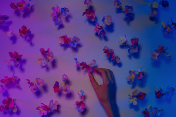 Child's hand picking flowers from an unreal mysterious meadow