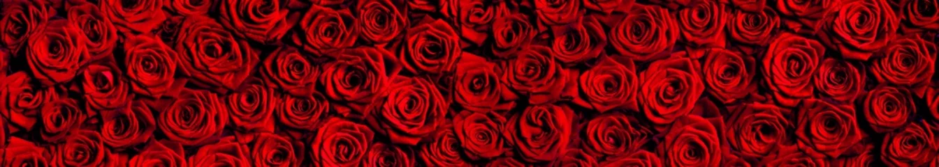 Crédence de cuisine en verre imprimé Roses Belles roses rouges