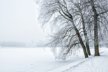 Fototapeta na wymiar Павильон Грот в тумане Pavilion Grotto in Tsarskoye Selo in a snowy haze