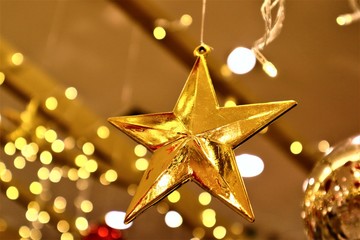 golden  Star christmas 