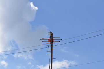 Low angle view of antenna with blue sky in the background.