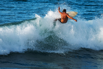 Experienced surfer rides ocean wave on Oahu's North Shore, Hawaii