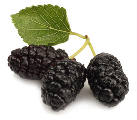 Mulberry isolated on white, macro
