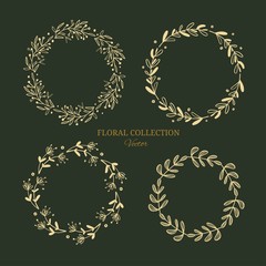 Herbal tea and floral doodle set. Vector hand drawn botanical illustration