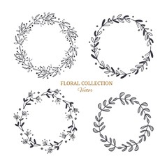 Herbal tea and floral doodle set. Vector hand drawn botanical illustration