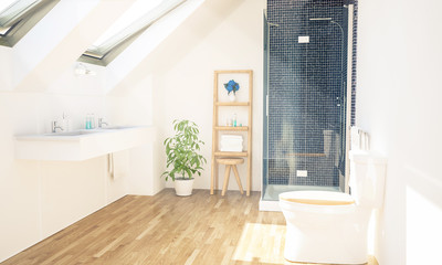 bathroom interior 3d rendering