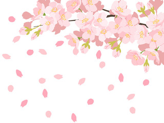 Obraz na płótnie Canvas 桜の背景イラスト