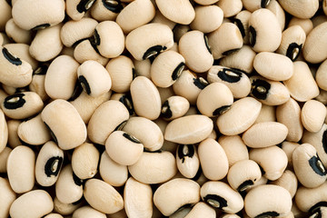 White kidney beans macro shot, abstract texture