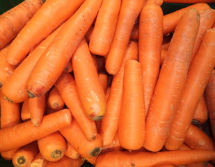  fresh washed carrots of the new crop