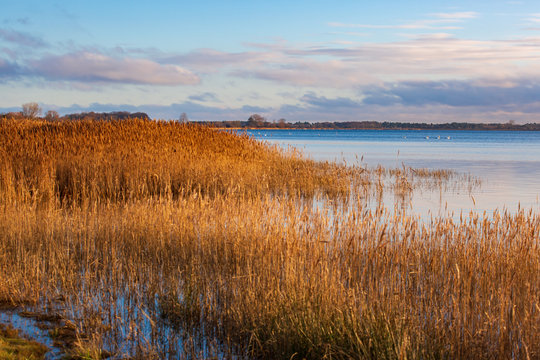 lake in winter  in the moorning 