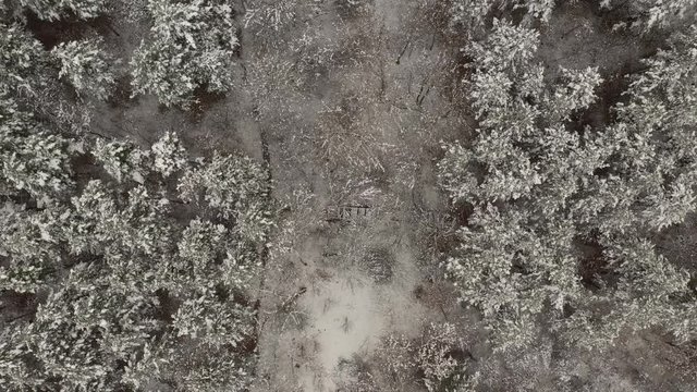 Forest wooden bridge under snow 4K drone descending footage