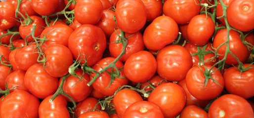 tomates
