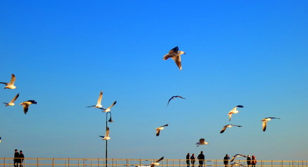 sunset at glenelg, australia