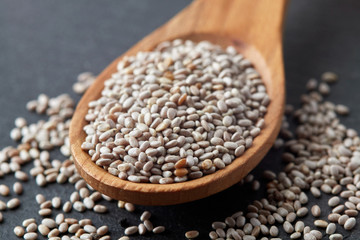 Close up of white chia seeds in wooden spoon