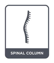 spinal column icon vector