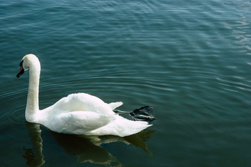 Obraz premium SONY DSC