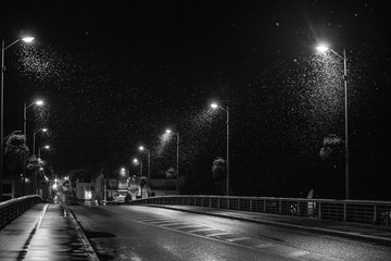 nuées d'insectes sous les lampadaires d'un pont, la nuit