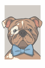 English Bulldog dog with bowtie portrait  graphic illustration