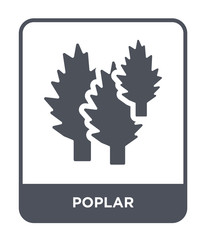poplar icon vector