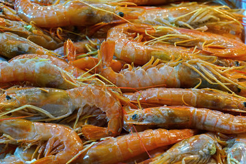 Shrimps at the central market in Athens