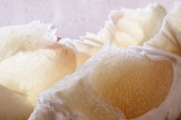 slices of juicy pomelo lie on the background of the window
