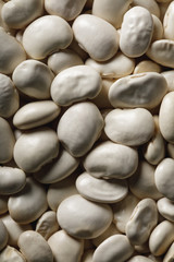 Fototapeta na wymiar close up of white beans as textured background with copy space