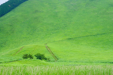 夏の曽爾高原