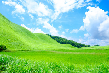 Obraz premium 夏の曽爾高原