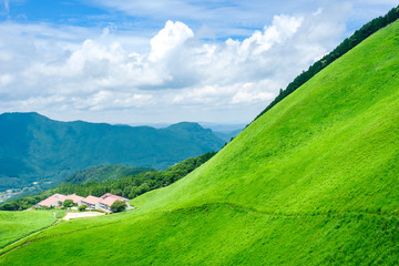 夏の曽爾高原